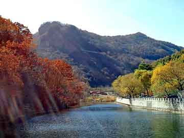 新澳天天开奖资料大全旅游团，莴笋削皮机